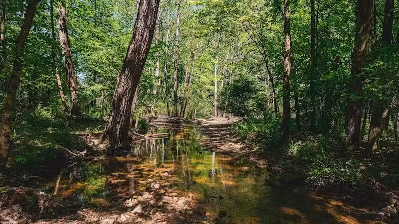 Parkhill Park - Westerville, OH