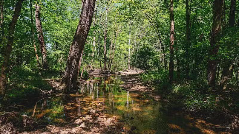 Parkhill Park - Westerville, OH