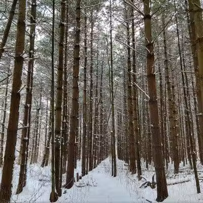 Parkhill Park - Westerville, OH