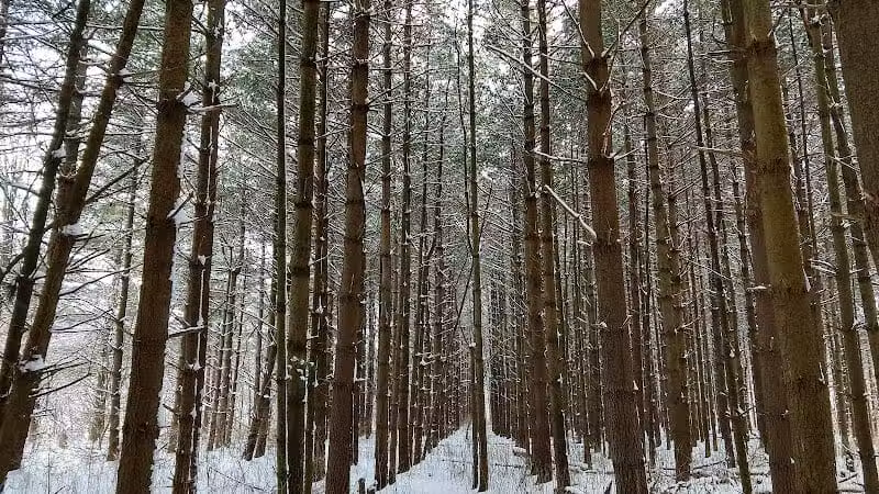 Parkhill Park - Westerville, OH