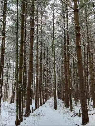 Parkhill Park - Westerville, OH