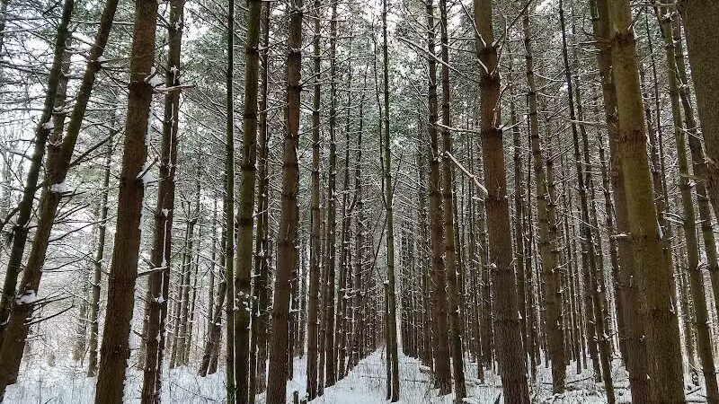 Parkhill Park - Westerville, OH