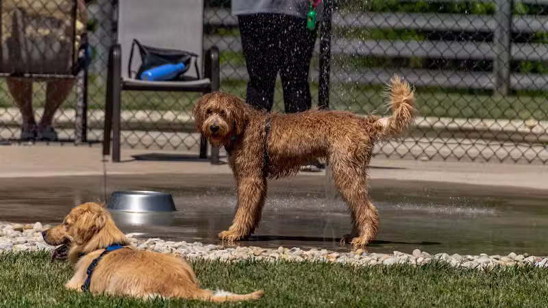 Rocky Fork Dog Park - Westerville, OH