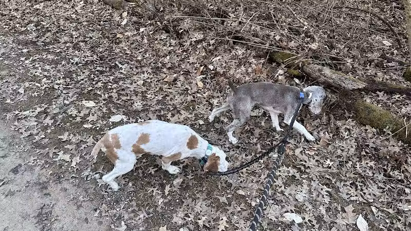 Rocky Fork Dog Park - Westerville, OH
