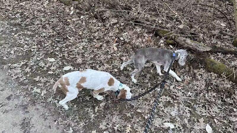 Rocky Fork Dog Park - Westerville, OH