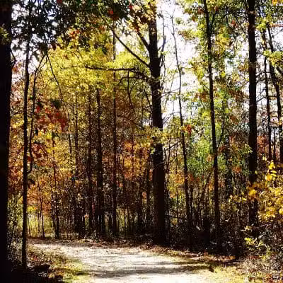 Sharon Woods - Westerville, OH