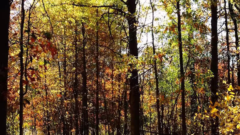 Sharon Woods - Westerville, OH