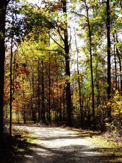 Sharon Woods - Westerville, OH