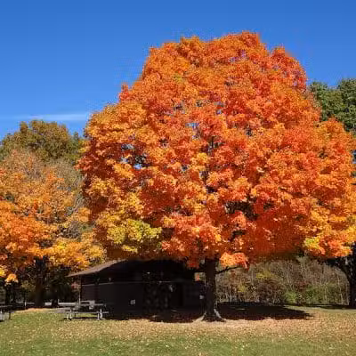 Sharon Woods - Westerville, OH
