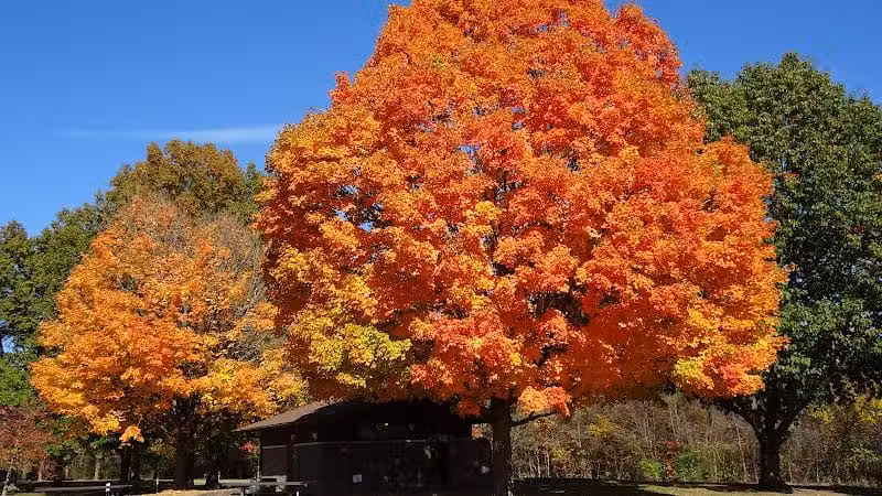 Sharon Woods - Westerville, OH
