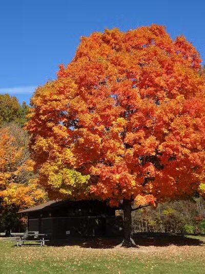 Sharon Woods - Westerville, OH