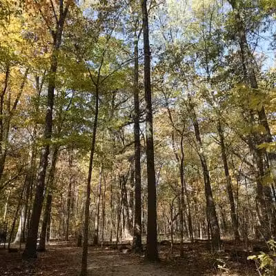 Sharon Woods - Westerville, OH