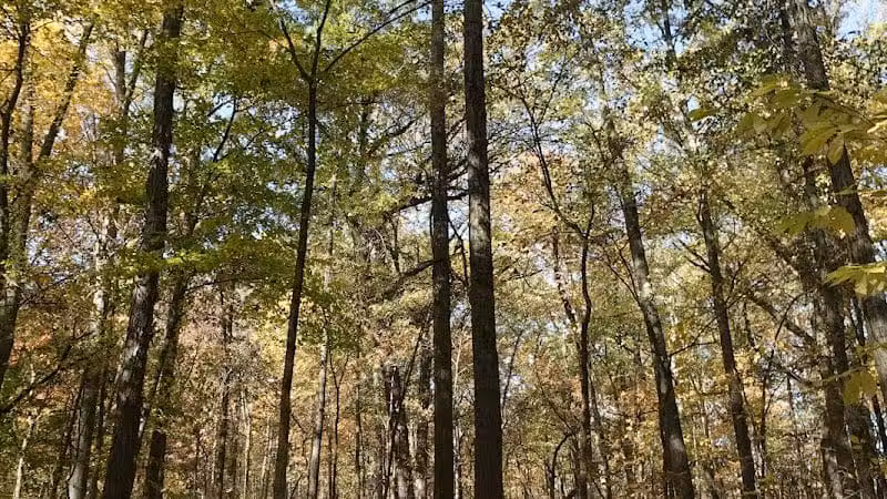 Sharon Woods - Westerville, OH