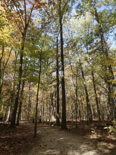 Sharon Woods - Westerville, OH