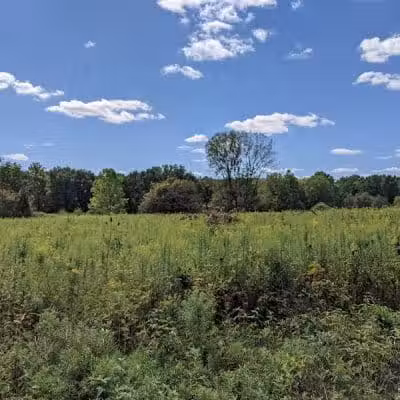 Sharon Woods - Westerville, OH