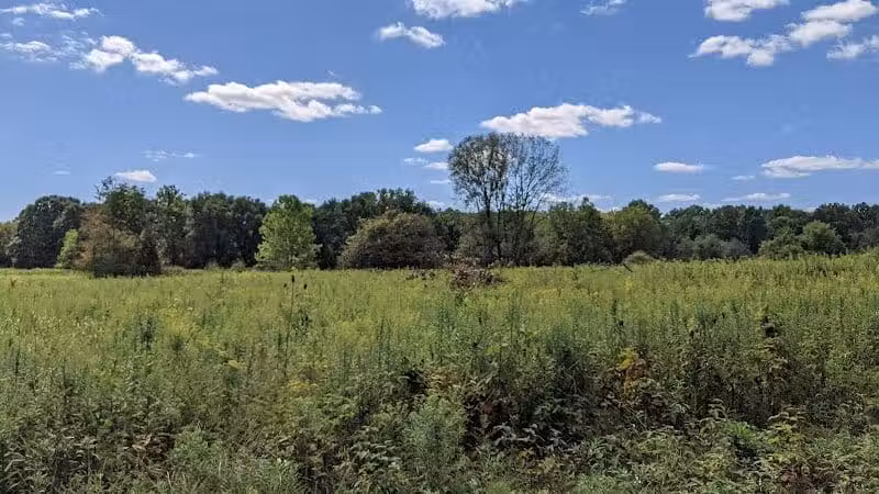 Sharon Woods - Westerville, OH