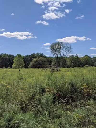 Sharon Woods - Westerville, OH