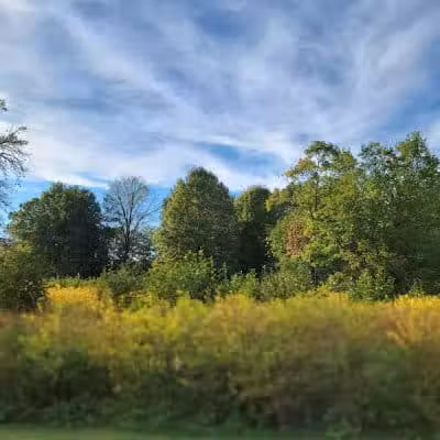 Sharon Woods - Westerville, OH