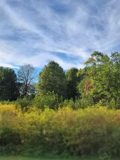 Sharon Woods - Westerville, OH