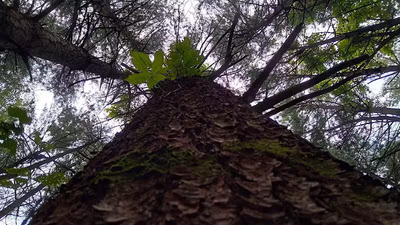 Walnut Bluffs Park - Westerville, OH