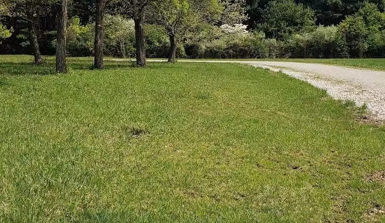 Walnut Bluffs Park - Westerville, OH