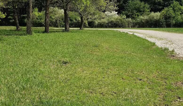 Walnut Bluffs Park - Westerville, OH