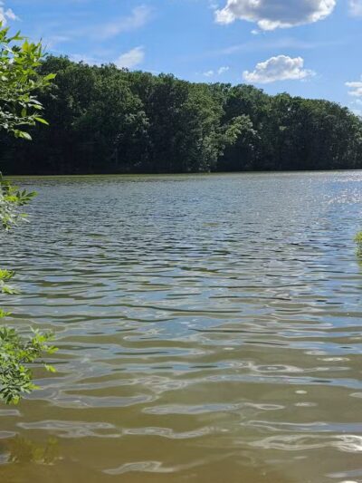 Walnut Bluffs Park - Westerville, OH