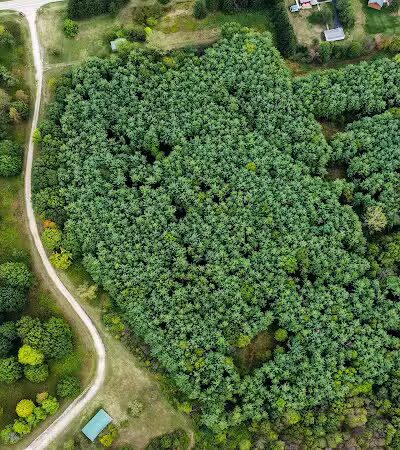 Walnut Bluffs Park - Westerville, OH