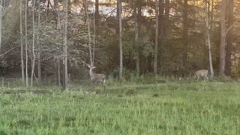 Warner Woods Park & Pavilion - Westerville, OH
