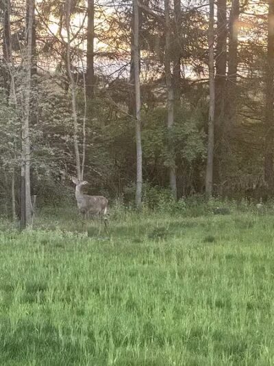 Warner Woods Park & Pavilion - Westerville, OH