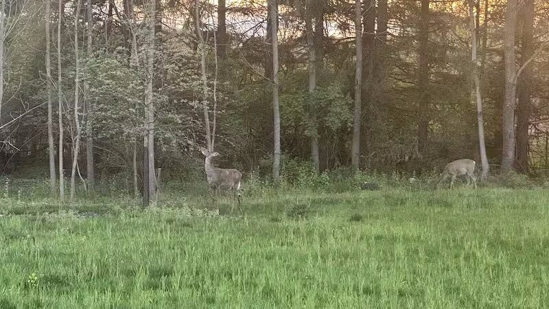 Warner Woods Park & Pavilion - Westerville, OH