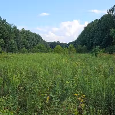 Warner Woods Park & Pavilion - Westerville, OH