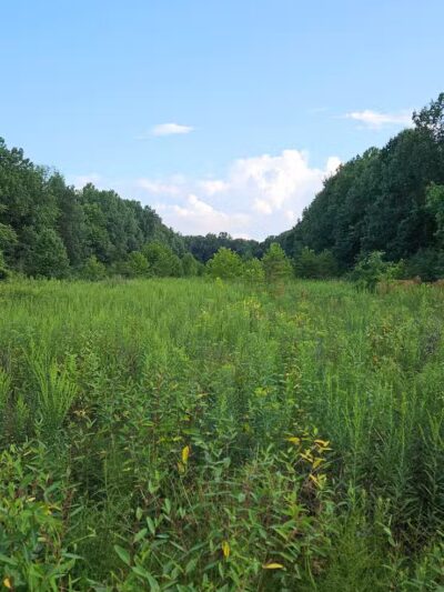 Warner Woods Park & Pavilion - Westerville, OH