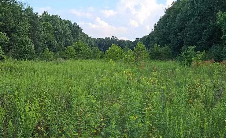 Warner Woods Park & Pavilion - Westerville, OH