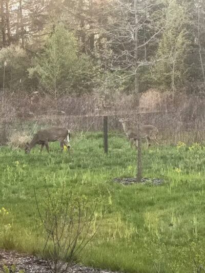 Warner Woods Park & Pavilion - Westerville, OH