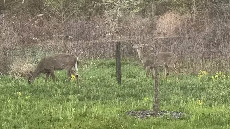 Warner Woods Park & Pavilion - Westerville, OH
