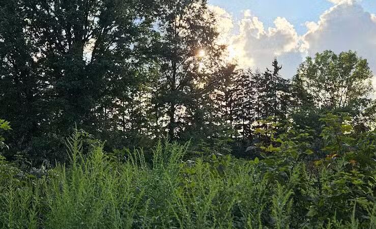 Warner Woods Park & Pavilion - Westerville, OH