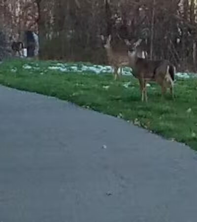 Westfield Center Village Park - Westfield Center, OH