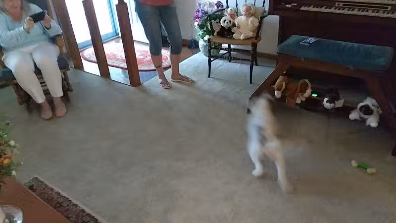 Westfield Center Village Park - Westfield Center, OH