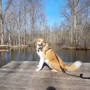 Bradley Woods Reservation - Westlake, OH