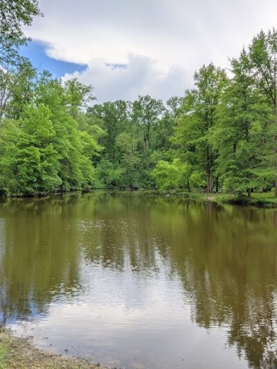 Bradley Woods Reservation - Westlake, OH