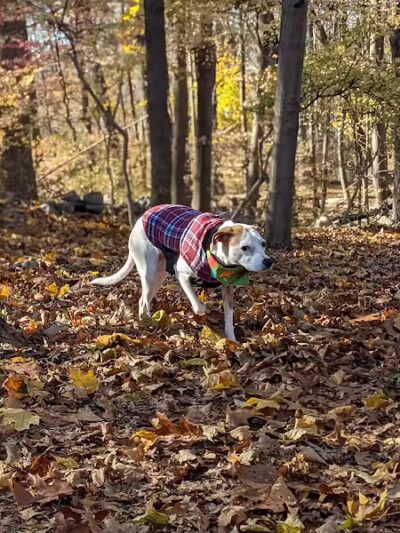 Winslow Park - Westport, CT