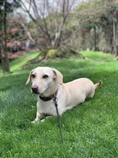 Winslow Park - Westport, CT