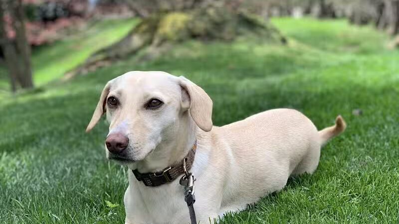 Winslow Park - Westport, CT