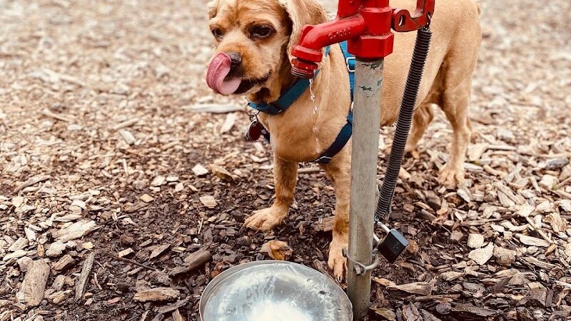 Fitzsimmons Family Dog Park - Wheeling, WV