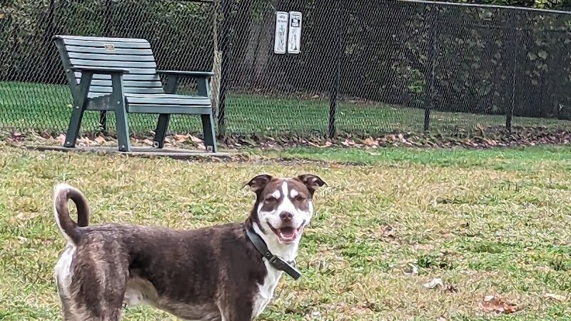 Fitzsimmons Family Dog Park - Wheeling, WV