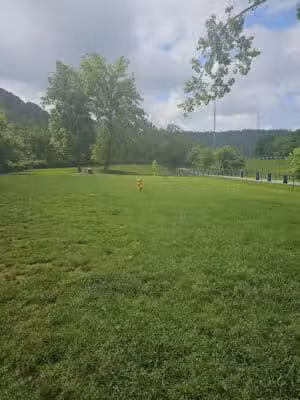 Fitzsimmons Family Dog Park - Wheeling, WV