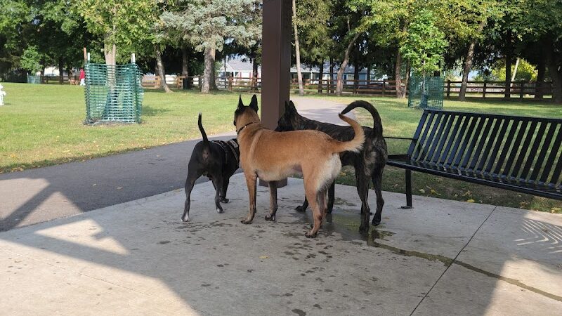 Central Bark Dog Park - Whitehall, OH