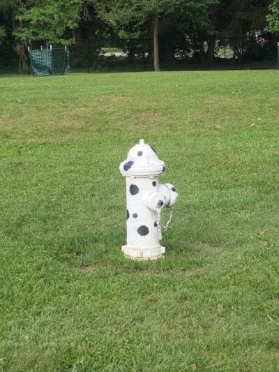 Central Bark Dog Park - Whitehall, OH