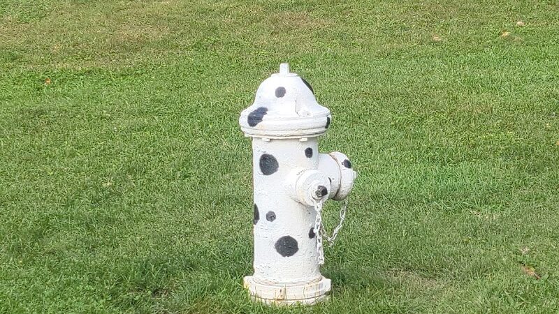 Central Bark Dog Park - Whitehall, OH